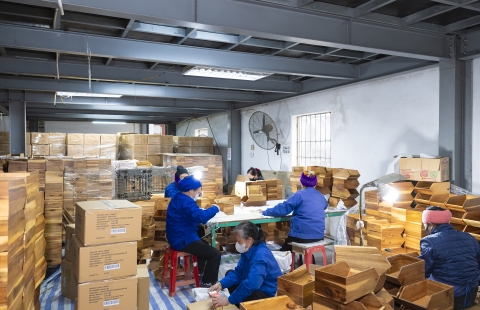 The Evolution of Ngoc Dong: From Traditional Craft Village to Global Export Powerhouse